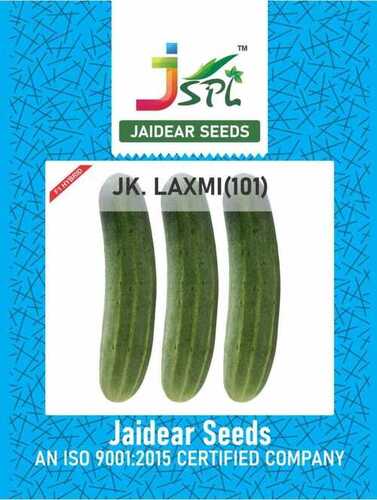 Cucumber Seed - Purity: 100%