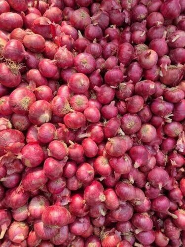 Fresh Red Onion - Very Good Quality, 100% Pure, Round, Chopped Style | Good for Health, Cooked Shelf Life Of 2 Days, Store In Cool & Dry Places