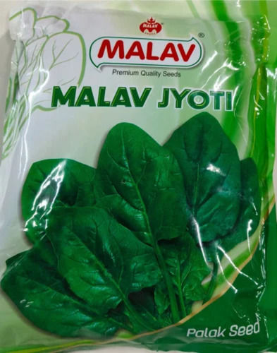 Palak Malav Jyoti (500gram)