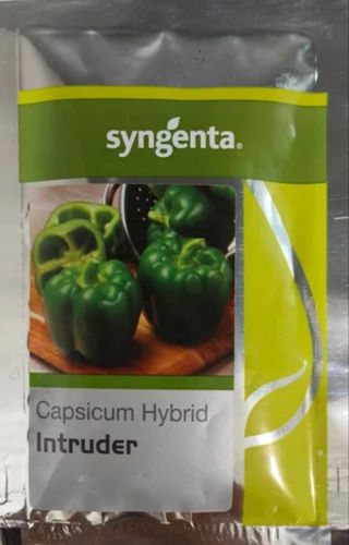 Syngenta Hybrid Intruder Capsicum Seed