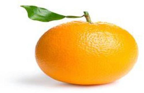 Orange Fruit