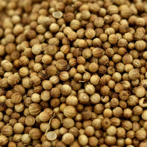 Whole Dry Coriander Seeds - Aromatic Spice with Citrusy Flavor, Brown Color, 99% Purity, Culinary Versatility, Premium Quality Seed Form