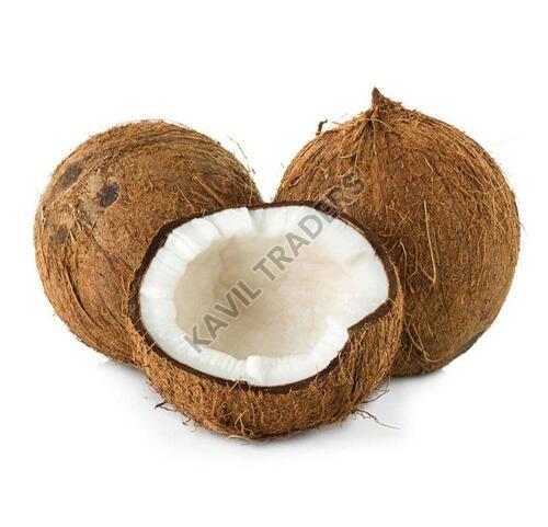Fresh Coconut - Young Coconut, Semi-Husked, Round Shape, Standard Size, Brown Color | Pure 100% Natural Health Boosting Food