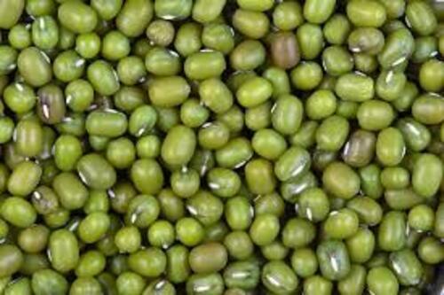 Moong Gram Seeds