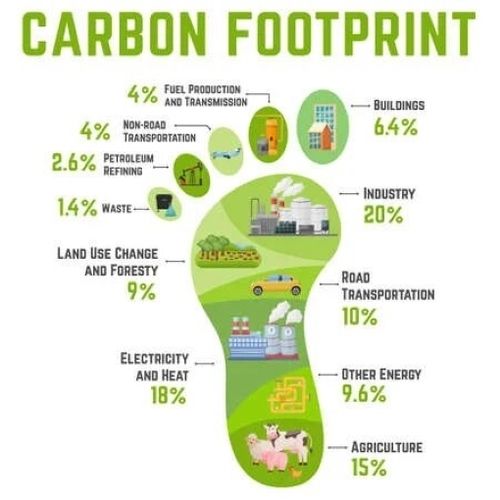 Carbon Footprint Corporate Sustainability Consultant