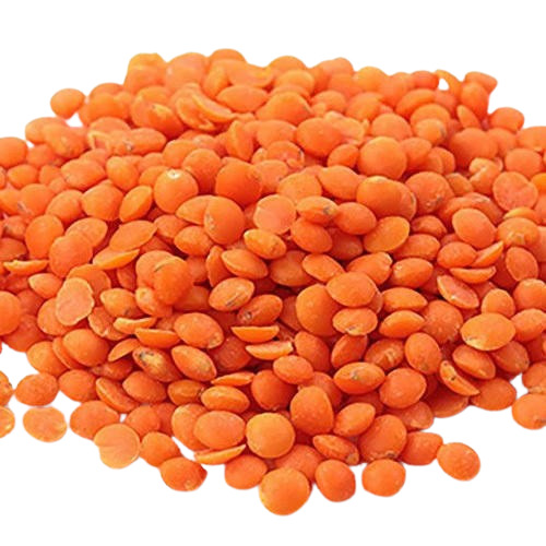 Masoor Dal  - Cultivation Type: Common