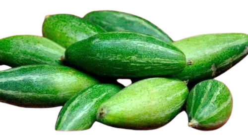 Natural Pointed Gourd