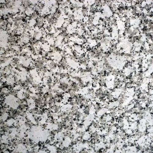 Platinum White Granite By Stone World