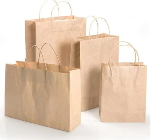 Carry Bags - Rectangular Single Compartment, Eco-Friendly Kraft Paper in Brown, Biodegradable and Moisture Proof with Rope Handle