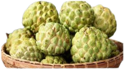 Custard Apple - Fresh and Very Good Quality, 100% Pure, Sweet Green Fruit | Rich in Protein (1.7g), High in Vitamin C (60%), Low Sodium (9mg), Good for Health