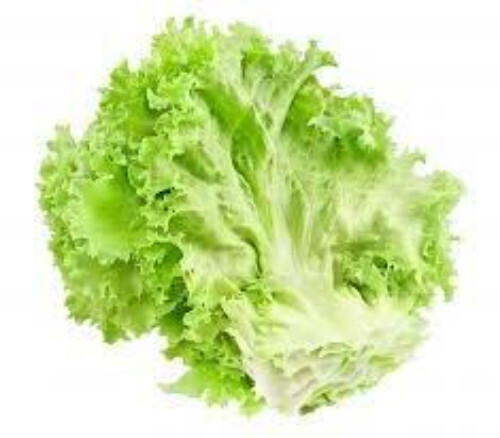 Fresh Lettuce - Very Good Quality 100% Pure Green Vegetable | Chopped Good for Health Cooked Style 7 Days Shelf Life Store in Cool & Dry Places