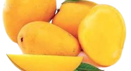 Fresh Mango - Fresh, Very Good Quality, 100% Pure, Peeled, Sweet Taste, Bright Yellow Color, Standard Size, Oval/Long Shape, Common Cultivation, Good for Health
