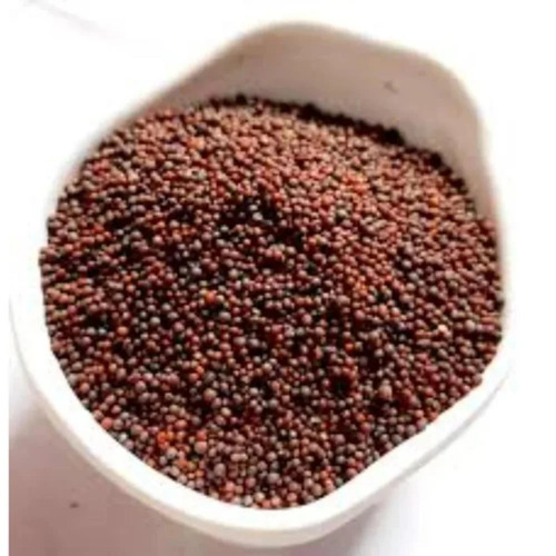 Brown Mustard Seeds - Cultivation Type: ..............