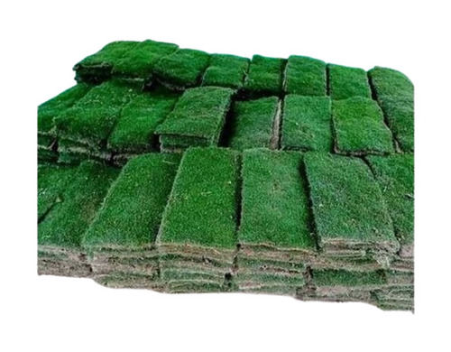 Green Grass Carpet  - Design: Modern