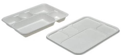 Meal Tray - Bagasse Material 12 Inch Rectangular Shape with 5 Compartments Plain Design for Parties and Events White Color