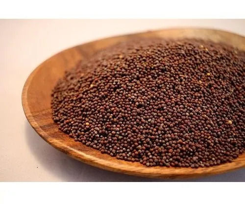 Premium Mustard Seeds