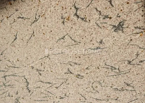 French White Granite