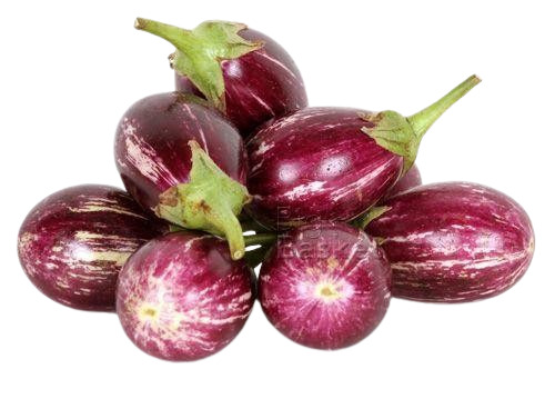 Fresh Brinjal - Oval Purple | 100% Pure Very Good Quality Good for Health Cool & Dry Preservation Shelf Life of 10 Days Ideal for Cooking