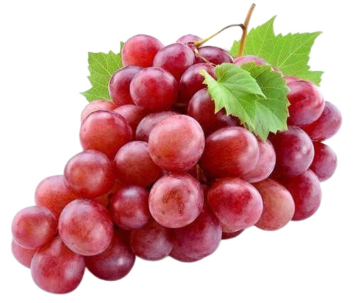 Fresh Grapes - 100% Fresh Quality Sweet Red Oval Fruits | Very Good for Health Standard Size 10 Days Shelf Life