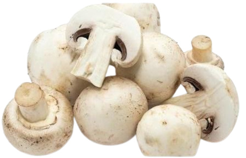 Fresh Mushroom - 100% Pure, Very Good Quality, Whole Piece, White Color, Good for Health | Raw Cultivated, Customized Size, Oyster Variety