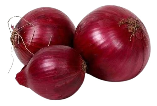 Fresh Onion - Round Shape, Red Color, 100% Purity | Very Good Quality, Good for Health, 30 Days Shelf Life, Ideal for Cooking
