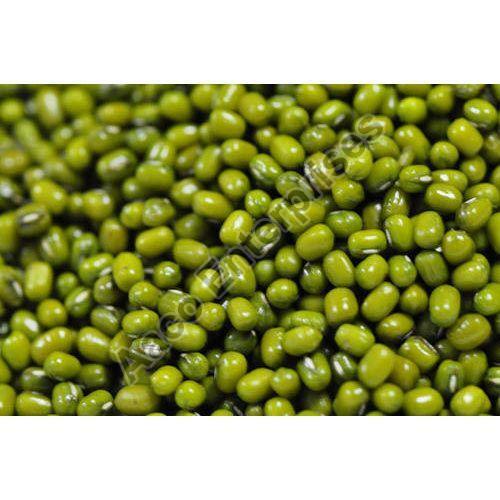 Mung Beans - Fresh, Very Good Quality, 100% Pure Green Oval Natural Dried | Good for Health