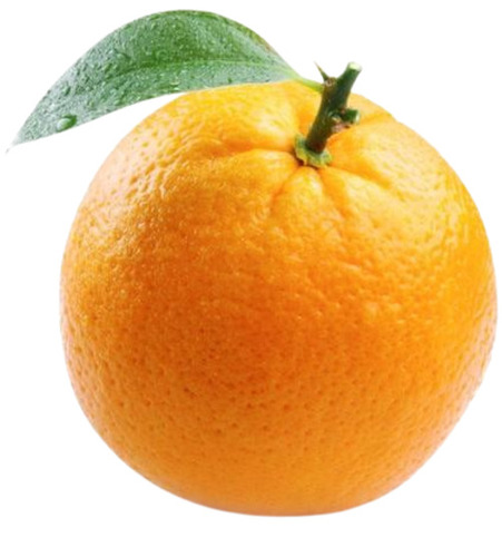 Orange Fruit - Fresh Quality, Very Good, 100% Pure | Sweet Round Yellow Fruits, Good for Health, Standard Size, 5-7 Days Shelf Life