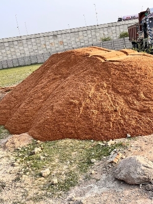 Well Graded River Sand