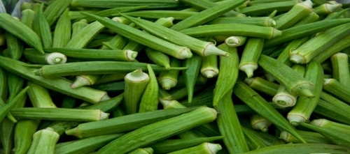 Fresh Lady Finger - Very Good Quality Elongate Green Vegetable, 100% Pure, Good for Health, Instant Chopped, 7 Days Shelf Life, Store in Cool & Dry Places