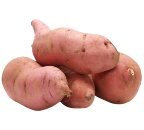 Fresh Sweet Potato - Red Color, 100% Pure, Very Good Quality | Steamed, Elongate Shape, Preserved in Cool & Dry Places, Good for Health