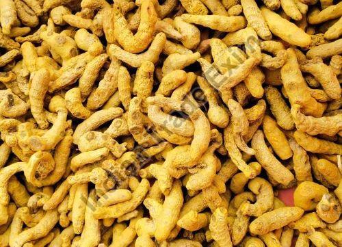Double Polished Turmeric Finger - Natural Dried, 100% Pure Quality | Very Good Fresh Condition, Healthy Cooking Ingredient, Elongated Yellow Whole Form
