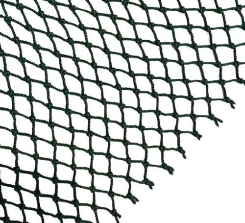 Fish Net