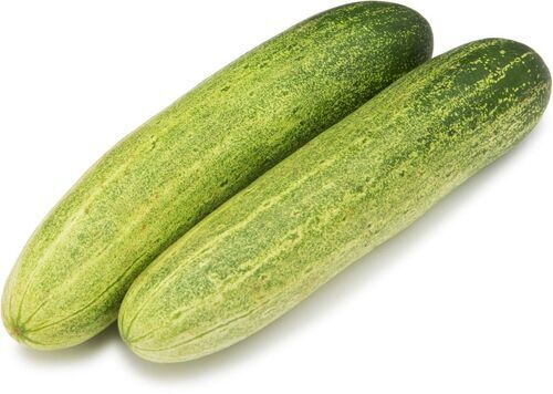 Fresh Cucumber