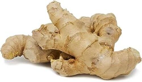 Fresh Ginger - Preserving Compound: Cool & Dry Places