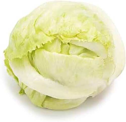 Iceberg Lettuce