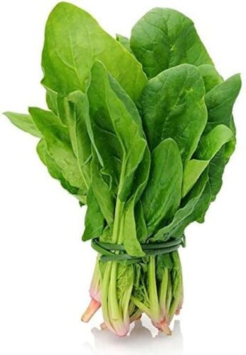 Spinach Leaves - Fresh Quality, Very Good Purity 100% | Instant Chopped, Cool & Dry Storage, Health Beneficial