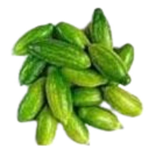 Ivy Gourd - Fresh Quality, 100% Pure Vegetable | Chopped, Cooked Style for Healthy Eating, Shelf Life 7 Days, Elongate Shape