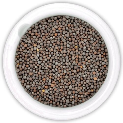 Mustard Seeds - Black Oil Seeds Very Good Quality 100% Purity Naturally Dried Healthy Food Ingredient 6-Month Shelf Life