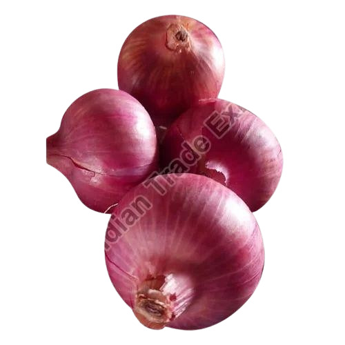 Red Nashik Onion - Round Chopped Vegetable, 100% Pure | Very Good Quality, Ideal for Food and Cultivation, Store in Cool & Dry Places