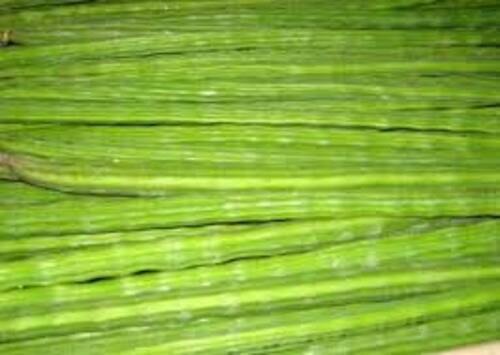 Fresh Drumsticks - Fresh, Very Good Quality, 100% Pure | Chopped, Long Shape, Preserved in Cool & Dry Places, Good for Health