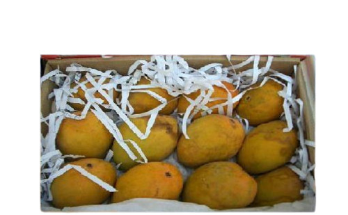 Fresh Mango - Very Good Quality, Sweet Taste , 100% Matured and Peeled Fruits