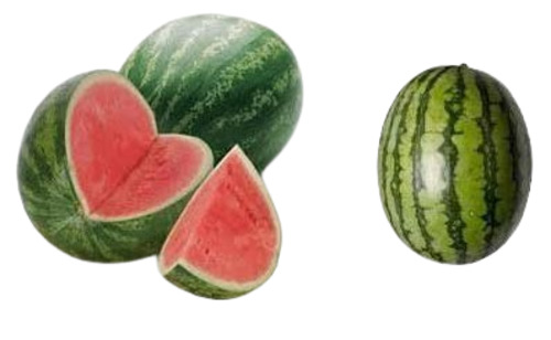 Fresh Watermelon - Oval Shape, Standard Size , Sweet Taste, Green Color, Very Good Quality, Good for Health