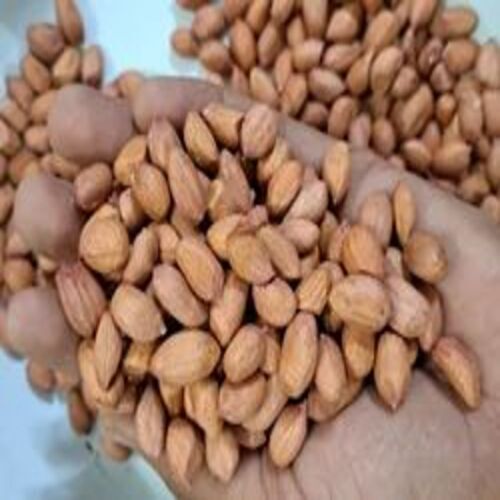 Skin Organic Groundnut Seed