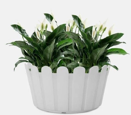 10 Inches Shera Fence White Planter