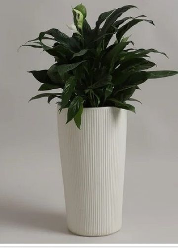 White Glass FRP Planter