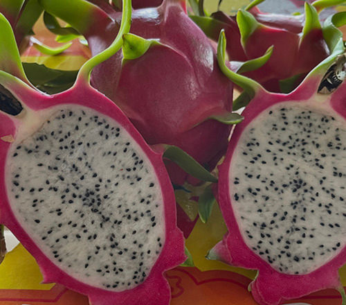 Dragon Fruit