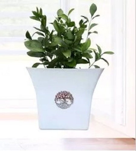 Plastic Planter