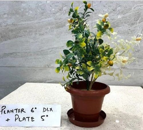 Plastic Planter With Plate