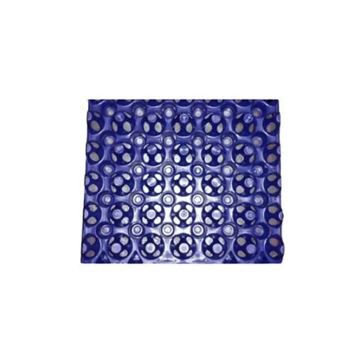 Blue Square Egg Packaging Tray