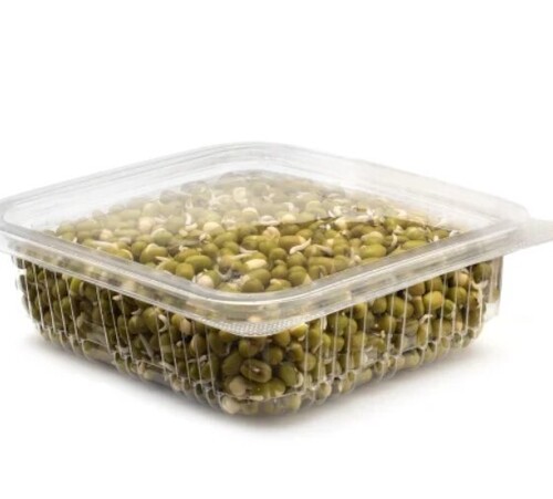 Disposable Pet Food Container - Plastic PET, 250 ml, Transparent, Rectangle Shape | Non Edible Storage Solution for All Sizes